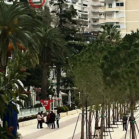 Apartman In The Center *